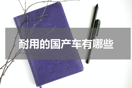 耐用的国产车有哪些