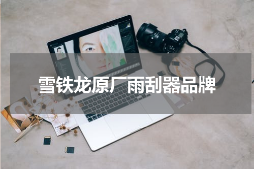 雪铁龙原厂雨刮器品牌