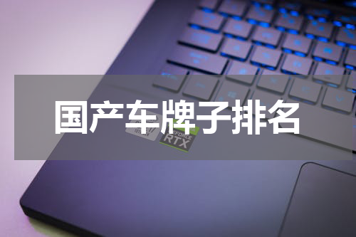 国产车牌子排名