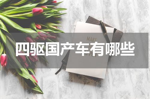 四驱国产车有哪些