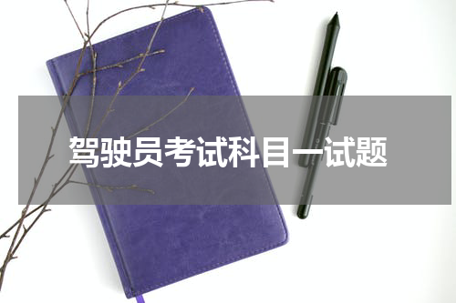 驾驶员考试科目一试题