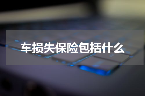 车损失保险包括什么