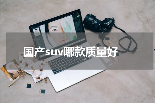 国产suv哪款质量好