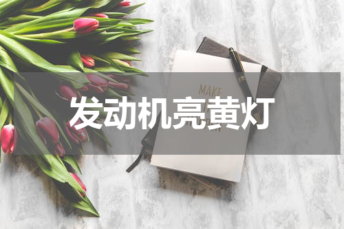 发动机亮黄灯