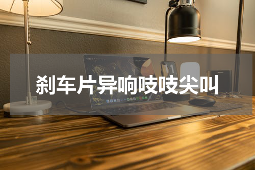 刹车片异响吱吱尖叫