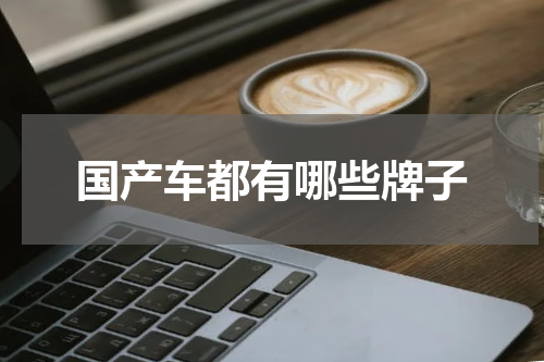 国产车都有哪些牌子