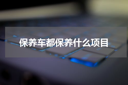 保养车都保养什么项目