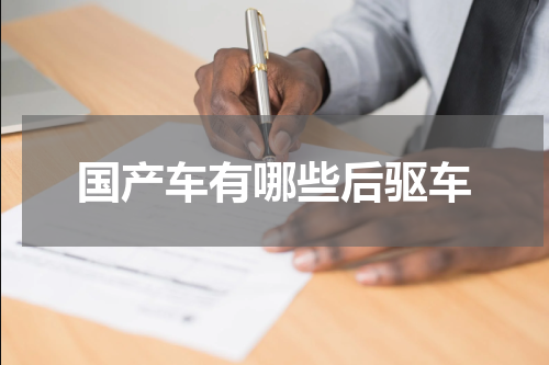 国产车有哪些后驱车