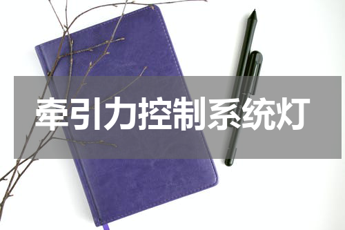 牵引力控制系统灯