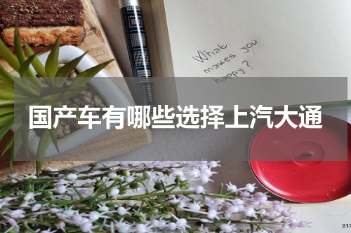 国产车有哪些选择上汽大通
