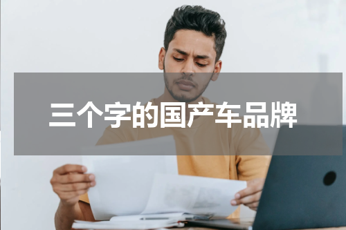 三个字的国产车品牌