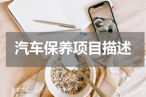 汽车保养项目描述