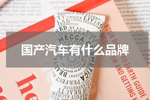 国产汽车有什么品牌