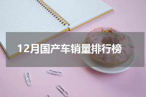 12月国产车销量排行榜
