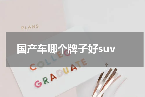 国产车哪个牌子好suv