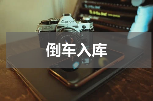 倒车入库