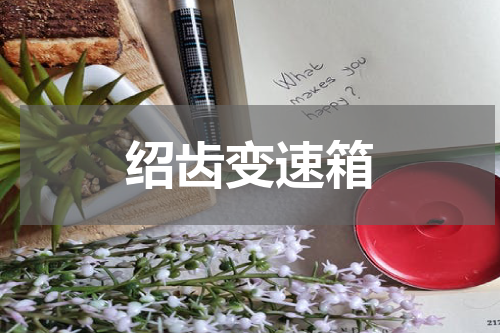 绍齿变速箱