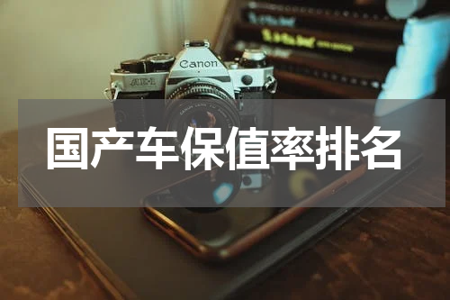 国产车保值率排名