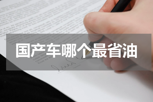 国产车哪个最省油
