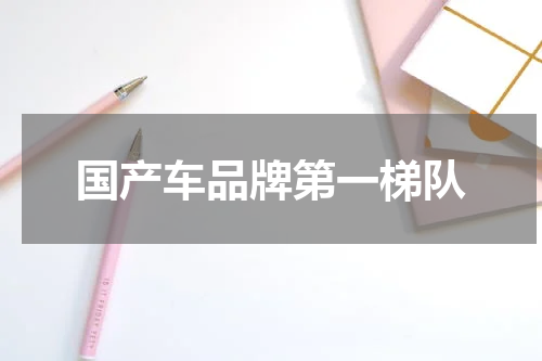 国产车品牌第一梯队