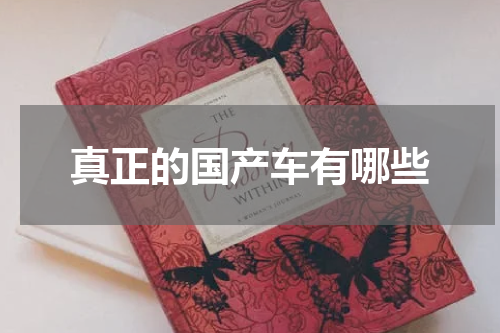 真正的国产车有哪些