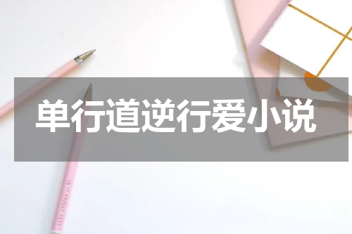 单行道逆行爱小说