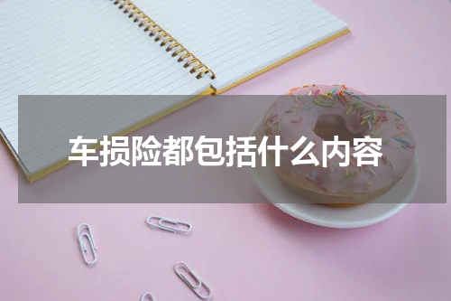 车损险都包括什么内容
