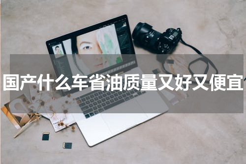 国产什么车省油质量又好又便宜