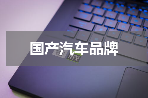 国产汽车品牌