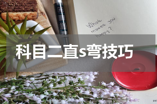 科目二直s弯技巧