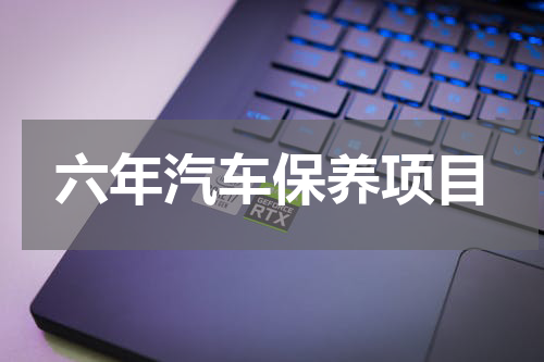 六年汽车保养项目