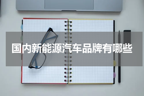 国内新能源汽车品牌有哪些