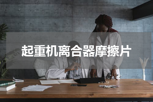 起重机离合器摩擦片