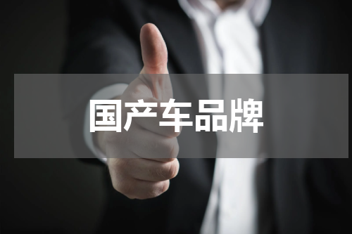 国产车品牌
