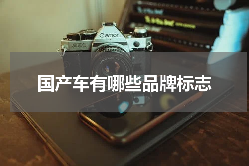 国产车有哪些品牌标志