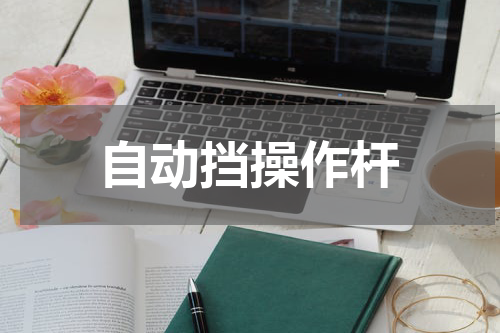 自动挡操作杆