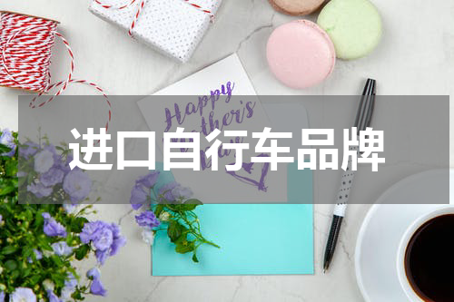 进口自行车品牌