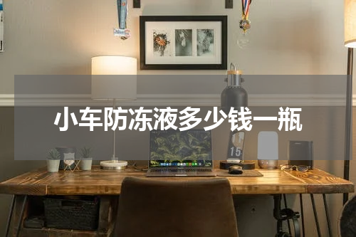 小车防冻液多少钱一瓶