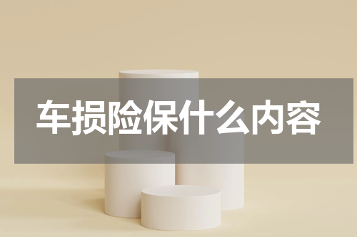 车损险保什么内容