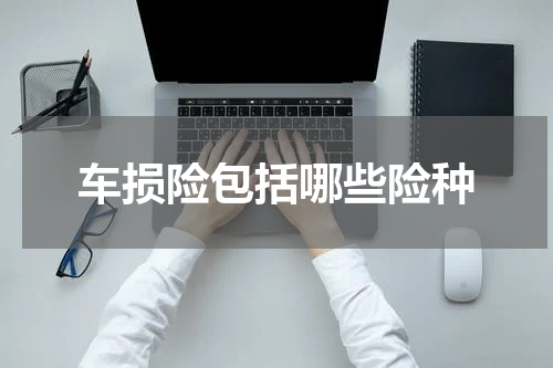 车损险包括哪些险种