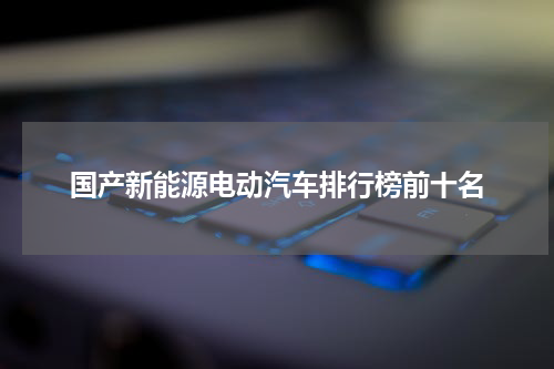 国产新能源电动汽车排行榜前十名