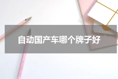 自动国产车哪个牌子好