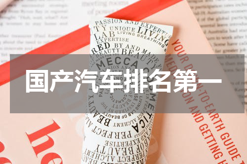 国产汽车排名第一