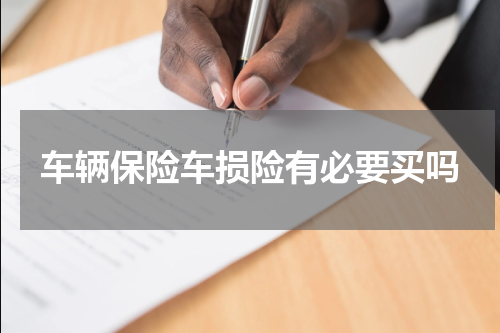 车辆保险车损险有必要买吗