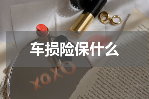 车损险保什么