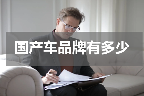 国产车品牌有多少