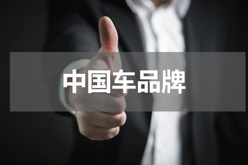 中国车品牌
