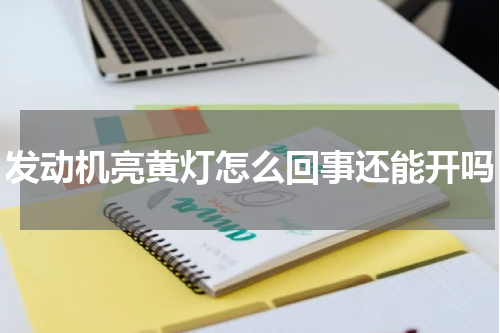 发动机亮黄灯怎么回事还能开吗