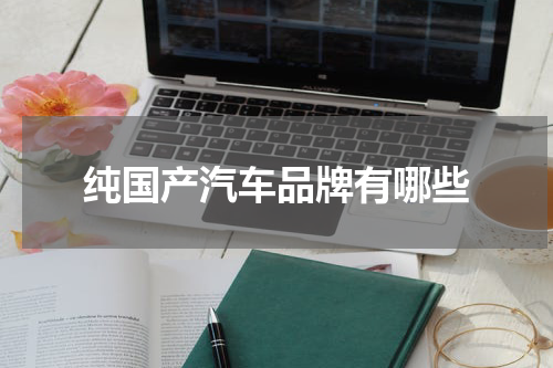 纯国产汽车品牌有哪些