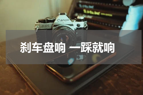 刹车盘响 一踩就响